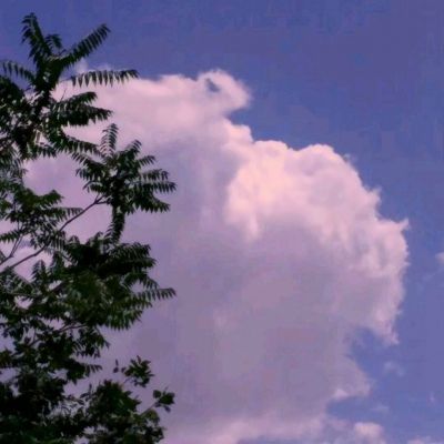 开元集团游戏网站